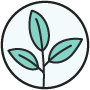 Naturopathy Icon